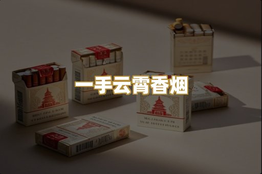 广西越南代工